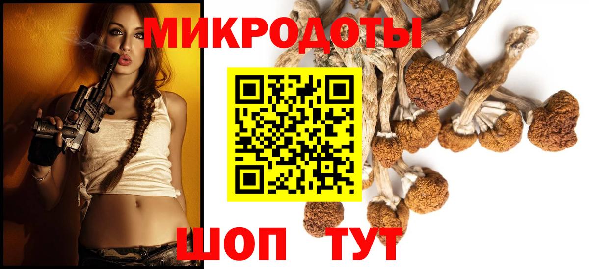 Галлюциногенные грибы мухоморы  Галлюциногенные грибы ЛСД  Клинцы  Вход с VPN 